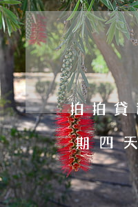 拍拍貸逾期四天怎么要還那么多-拍拍貸逾期四天怎么要還那么多錢