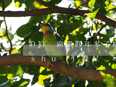 拍拍貸逾期四年多了(拍拍貸逾期4年了說(shuō)要起訴可以協(xié)商還本金嗎)