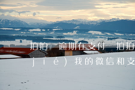 拍拍貸逾期在支付寶 拍拍貸逾期說要凍結(jié)我的微信和支付寶