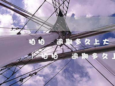 拍拍貸逾期多久上大數(shù)據(jù)(拍拍貸逾期多久上大數(shù)據(jù))