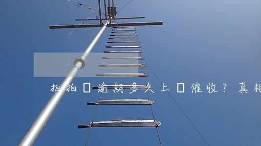 拍拍貸逾期多久上門催收？真相揭秘！