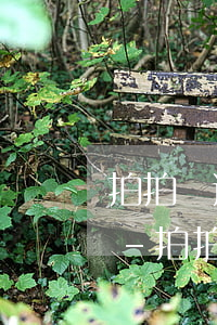 拍拍貸逾期多久不會(huì)打電話通知-拍拍貸逾期多久不會(huì)打電話通知家人