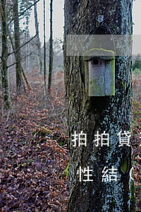拍拍貸逾期多久收回本金(拍拍貸逾期后一次性結(jié)本金,利息還在里面)