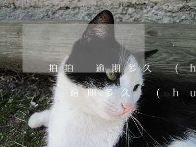 拍拍貸逾期多久會(huì)寄律師函(拍拍貸逾期多久會(huì)寄律師函)