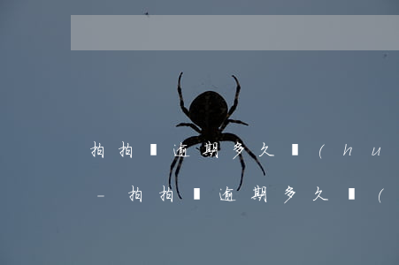 拍拍貸逾期多久會(huì)有案底告訴你-拍拍貸逾期多久會(huì)有案底告訴你家人
