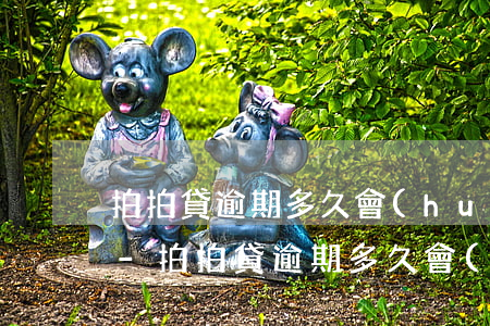 拍拍貸逾期多久會(huì)給家人打電話-拍拍貸逾期多久會(huì)給家人打電話準(zhǔn)確答案