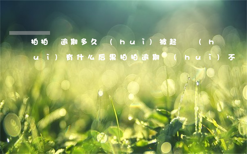 拍拍貸逾期多久會(huì)被起訴會(huì)有什么后果（拍拍逾期會(huì)不會(huì)起訴）