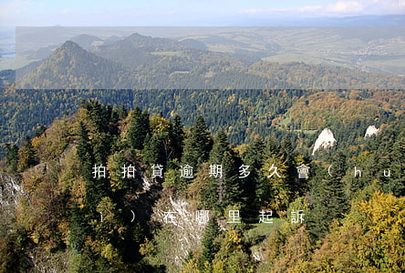 拍拍貸逾期多久會(huì)起訴會(huì)在哪里起訴