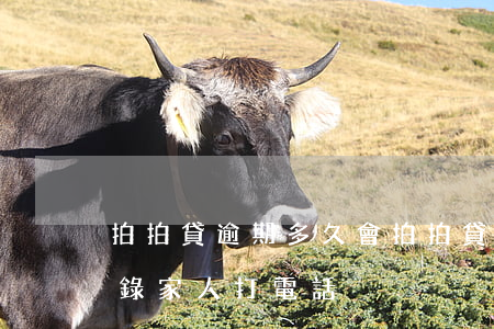 拍拍貸逾期多久會(拍拍貸逾期多久會給通訊錄家人打電話)