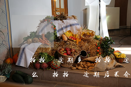 拍拍貸逾期多嗎(拍拍貸逾期會(huì)怎么樣?拍拍貸逾期后果介紹)