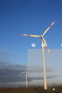 拍拍貸 逾期客戶分析