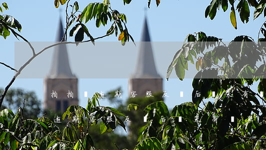 拍拍貸逾期客服反饋后幾天有結果-拍拍貸逾期客服反饋后幾天有結果嗎