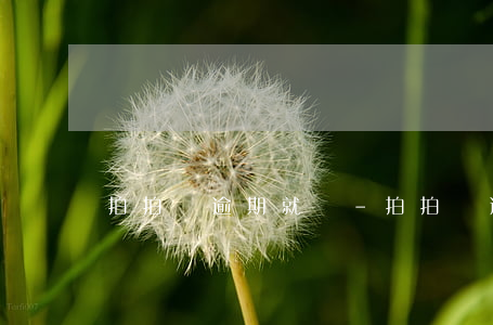 拍拍貸逾期就賠-拍拍貸逾期就賠本金嗎