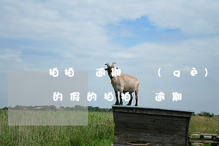 拍拍貸逾期幾個(gè)月收到律師函是真的假的 拍拍貸逾期幾個(gè)月收到律師函是真的假的