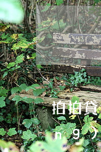 拍拍貸逾期幾天下黑名單(拍拍貸申請(qǐng)失信黑名單嗎)