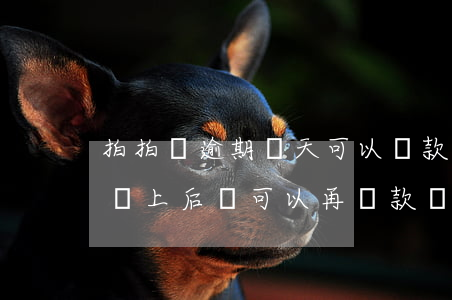 拍拍貸逾期幾天可以還款(拍拍貸逾期了幾天還上后,還可以再貸款嗎)