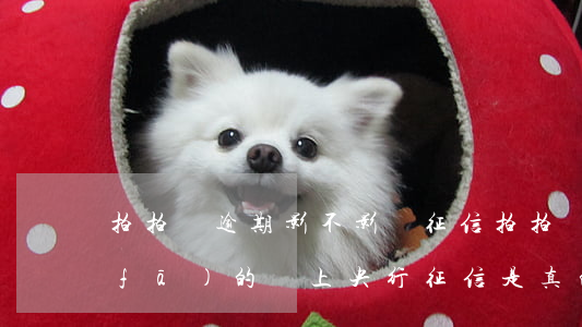 拍拍貸逾期影不影響征信(拍拍貸逾期了,發(fā)的會上央行征信,是真的嗎)