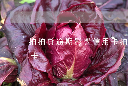 拍拍貸逾期影響信用卡(拍拍貸逾期影響信用卡)