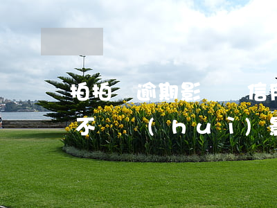 拍拍貸逾期影響辦信用卡嗎(朋友拍拍貸逾期不還會(huì)影響我用拍拍貸嗎)