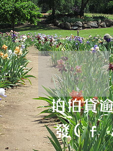 拍拍貸逾期律師函是真的嗎(拍拍貸逾期不還發(fā)短信說發(fā)律師函是真的嗎)