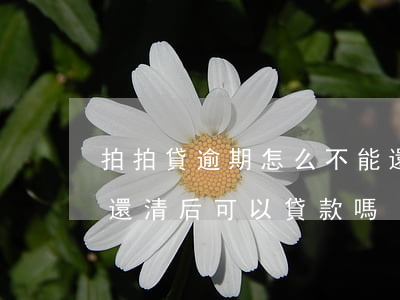 拍拍貸逾期怎么不能還款(拍拍貸逾期三年多還清后可以貸款嗎?)