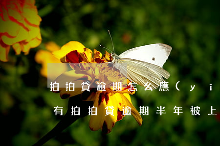 拍拍貸逾期怎么應(yīng)對催收(有沒有拍拍貸逾期半年被上門催收的2020)
