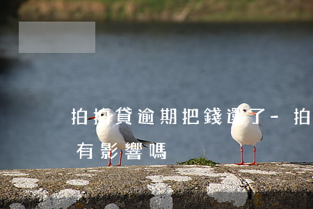 拍拍貸逾期把錢還了-拍拍貸逾期把錢還了有影響嗎