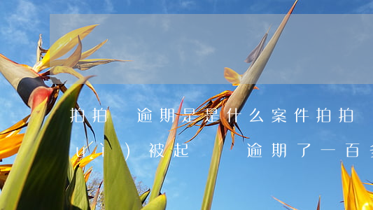 拍拍貸逾期是是什么案件(拍拍貸逾期會(huì)被起訴嗎逾期了一百多天)