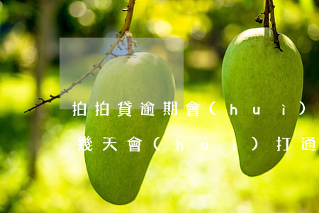 拍拍貸逾期會(huì)打通話記錄(拍拍貸幾天會(huì)打通訊錄)