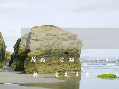 拍拍貸逾期會(huì)收到法院傳票嗎(拍拍貸逾期多久會(huì)被起訴會(huì)有什么后果)