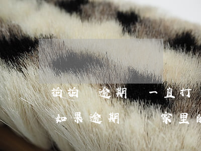 拍拍貸逾期會一直打電話給家人嗎-拍拍貸如果逾期,會給家里的人打電話嗎