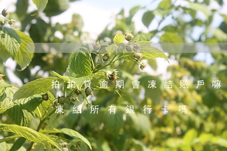 拍拍貸逾期會凍結賬戶嘛(拍拍貸逾期不還會凍結所有銀行卡嗎)