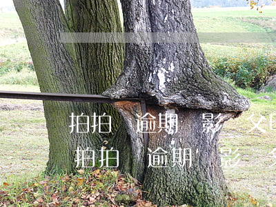 拍拍貸逾期會影響父母的醫(yī)保嗎-拍拍貸逾期會影響父母的醫(yī)保嗎怎么辦