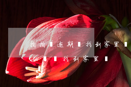 拍拍貸逾期會找到家里嗎(拍拍貸沒還款會怎么樣會找到家里嗎)