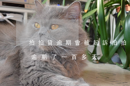 拍拍貸逾期會被起訴(拍拍貸逾期會被起訴嗎逾期了一百多天)
