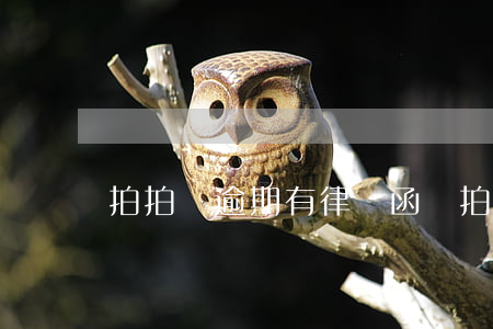拍拍貸逾期有律師函嗎（拍拍貸逾期有律師函嗎）