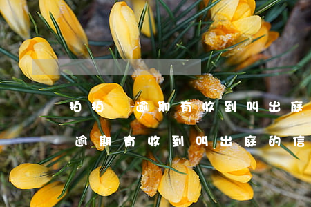 拍拍貸逾期有收到叫出庭的信息嗎-拍拍貸逾期有收到叫出庭的信息嗎是真的嗎