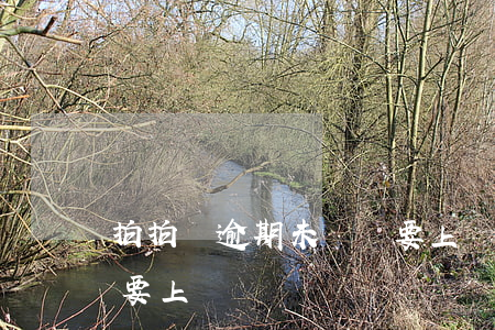 拍拍貸逾期未還說要上門(拍拍貸逾期未還說要上門)