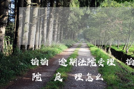 拍拍貸逾期法院受理嗎(拍拍貸逾期通知我法院開庭審理怎么辦)
