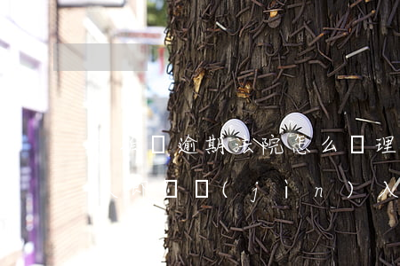拍拍貸逾期法院怎么處理(拍拍貸欠款逾期已久即將進(jìn)入訴訟程序)