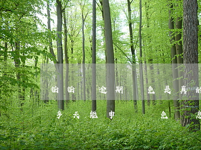 拍拍貸逾期減免是真的嗎(拍拍貸逾期200多天能申請減免罰息嗎)