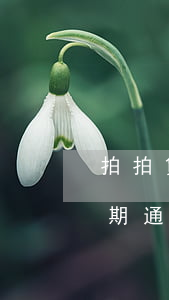 拍拍貸逾期發(fā)了緊急通知(拍拍貸逾期通知我法院開庭審理怎么辦)