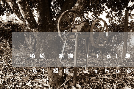 拍拍貸逾期發(fā)起訴涵 拍拍貸發(fā)短信說(shuō)我嚴(yán)重逾期要起訴我