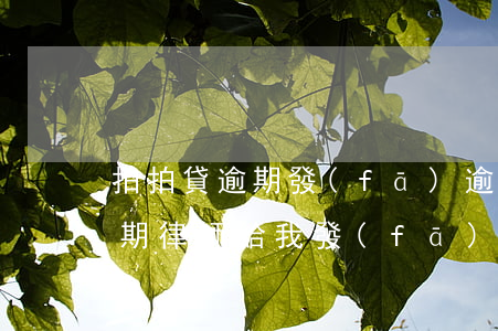 拍拍貸逾期發(fā)逾期告知函(拍拍貸逾期律師給我發(fā)的短信說(shuō)開庭通知)