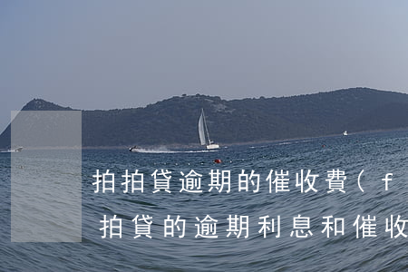 拍拍貸逾期的催收費(fèi)用合理嗎(拍拍貸的逾期利息和催收費(fèi)用法律支持嗎)