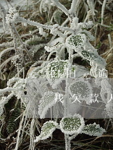 拍拍貸逾期社區(qū)會協(xié)助找欠款人嗎-拍拍貸逾期社區(qū)會協(xié)助找欠款人嗎是真的嗎