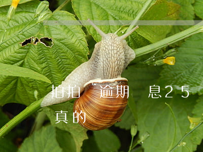 拍拍貸逾期罰息25塊錢(拍拍貸罰息減免是真的嗎)