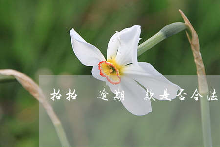 拍拍貸逾期罰款是否合法(拍拍貸罰息合法嗎)