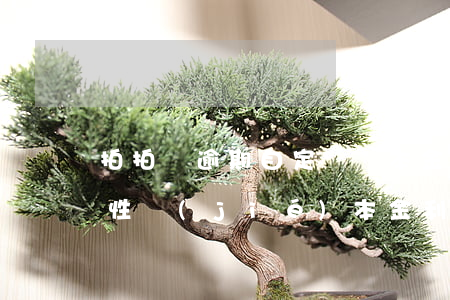 拍拍貸逾期自定義還本金(拍拍貸逾期后一次性結(jié)本金,利息還在里面)