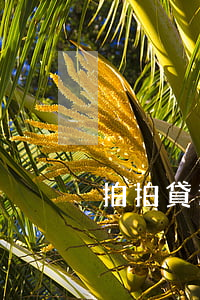 拍拍貸逾期被代償了(拍拍貸逾期被代償了)